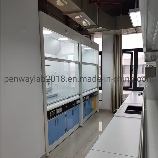 2023 Energy Saving Zero Leakage Fume Hood Ashrae110 Certified Safe Fume Cupboard