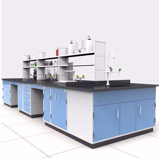School Commercial Laboratory Furniture Type and Commercial Lab Table Island Lab Bench with Cabinets