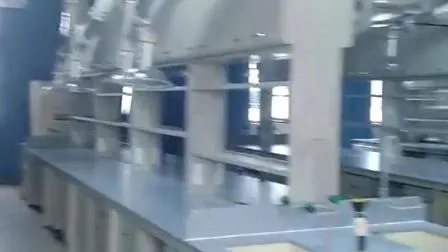 Durable Chemical Resistant Physics Chemistry Lab Furniture Science Lab Bench